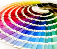 RAYAS GASTEIZ. Imprenta